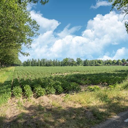 House With A Large Garden In Achterhoek Eibergen Екстер'єр фото